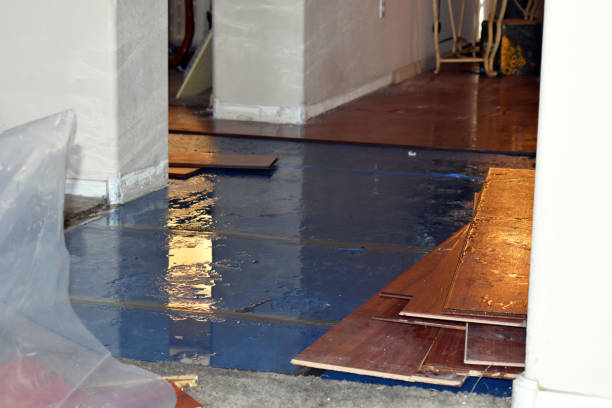 Professional Burst Pipe Cleanup technician working in Cecil, OH