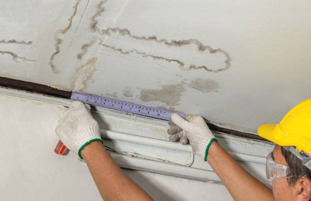 Reliable Burst Pipe Cleanup contractor in Cecil, OH by Water Damage Irwin